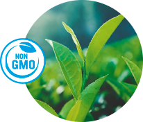 medioambiente non GMO